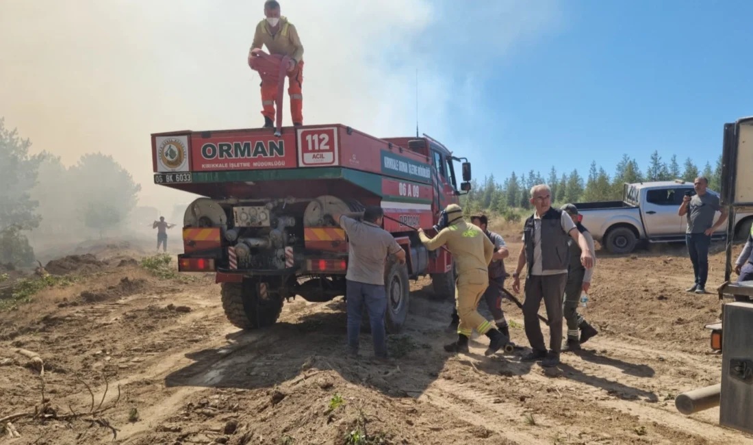 Türkiye genelinde 23-24 Ağustos hafta sonu çıkan 85 yangın, Orman