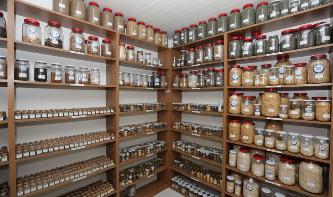 Muğla Büyükşehir Belediyesi Tıbbi-Aromatik Bitkiler ve Yerel Tohum Merkezi 2026