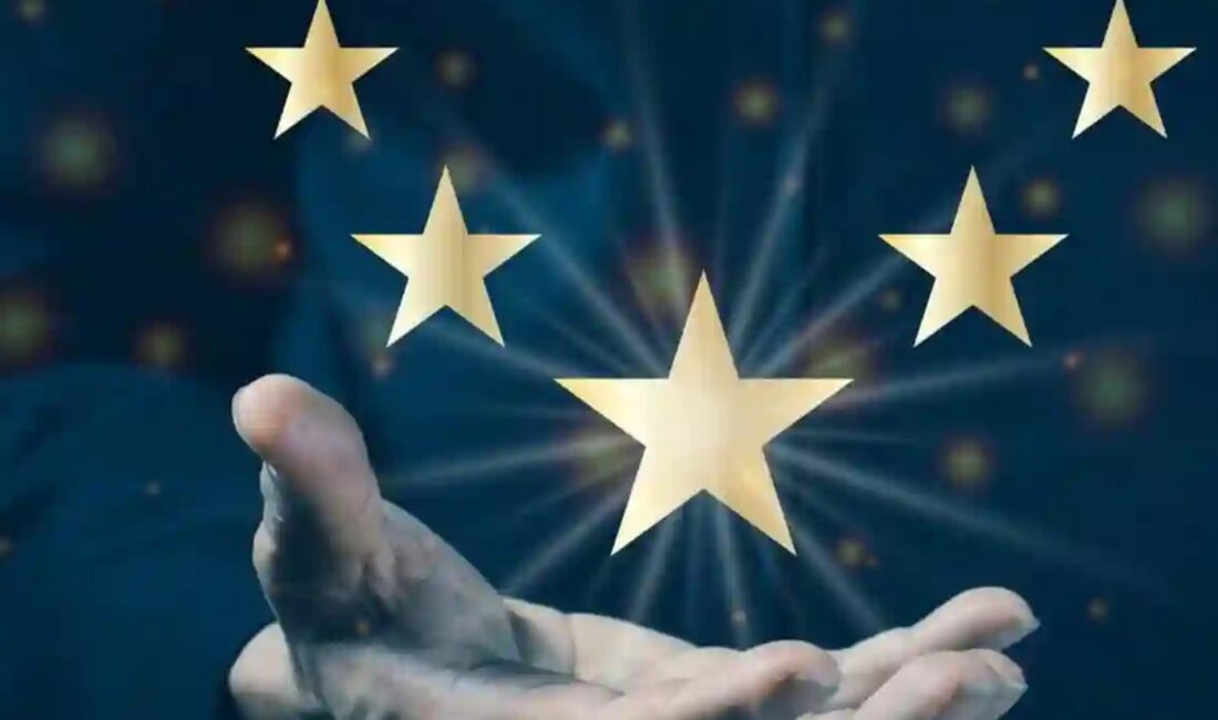 Firma puanı, bir işletmenin çeşitli kriterler üzerinden değerlendirildiği bir ölçüttür.