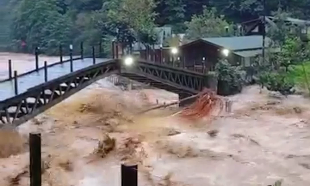 Artvin’de meydana gelen sel felaketinde dereler taştı, heyelan meydana geldi.