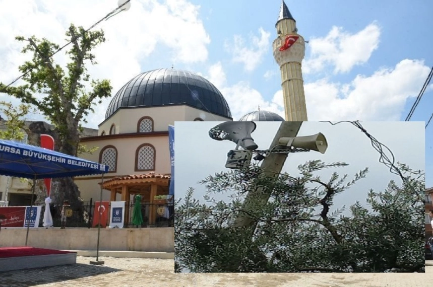 Bursa’nın İznik ilçesine bağlı Müşküle Köyü sahilinde, 1,5 yıl önce