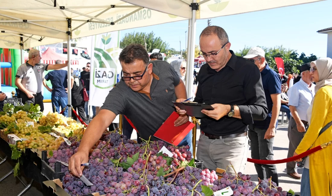 Bursa Osmangazi Belediyesi, ilçede yetişen bir birinden değerli tarım ürünlerine