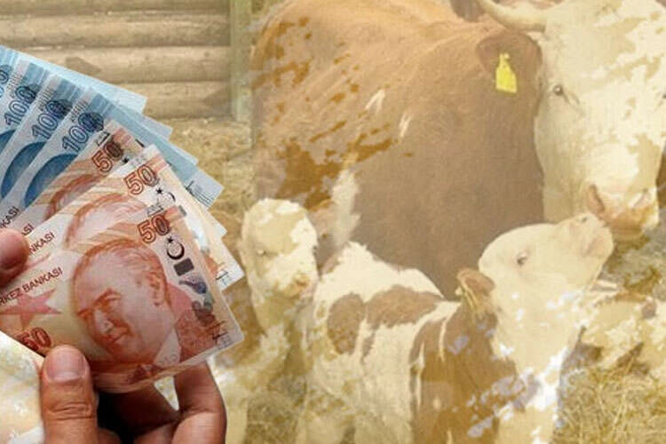 Tarım ve Orman Bakanı İbrahim Yumaklı, sürdürülebilir üretim için çiftçilere