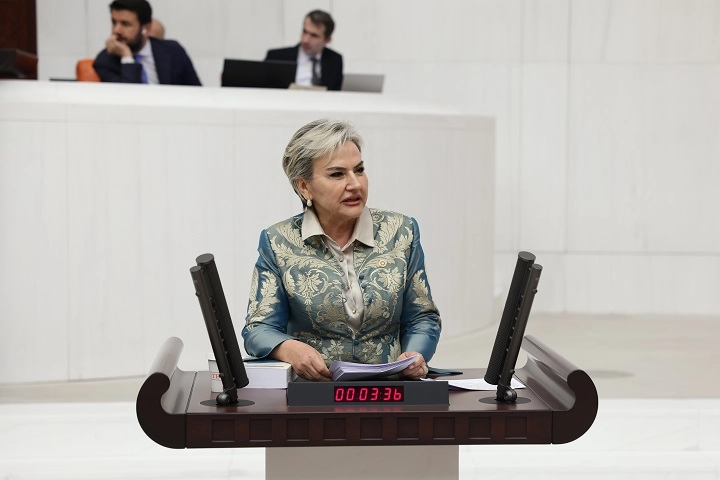 CHP İstanbul Milletvekili Nimet Özdemir, ekonomik zorluklar nedeniyle milyonlarca öğrencinin