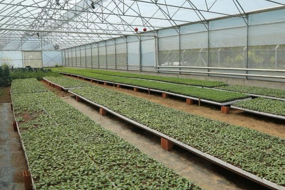 Ordu Büyükşehir Belediyesi üretimi teşvik etmek amacıyla 6 yılda 4