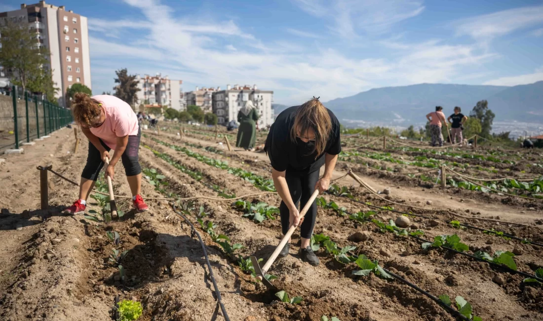 Bornova Belediyesi’nin 6 farklı noktada kurduğu Kent Bostanları’nda 481 kadın,