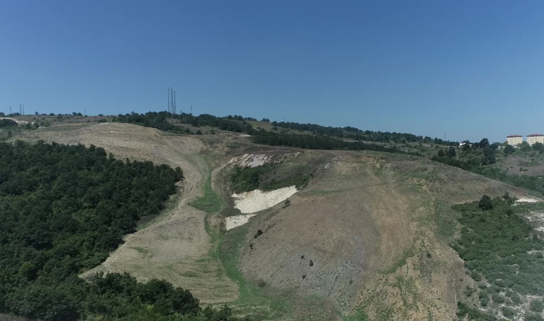 Kocaeli Büyükşehir Belediyesi, “Daha yeşil Kocaeli” için durmaksızın çalışıyor. Bu