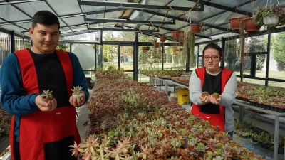 Selçuklu Otizmli Bireyler Eğitim (SOBE) Vakfı, otizmli bireylerin üretim süreçlerine