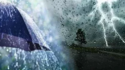 Meteoroloji Genel Müdürlüğü, 29 Ekim Çarşamba günü Artvin, Giresun, Rize