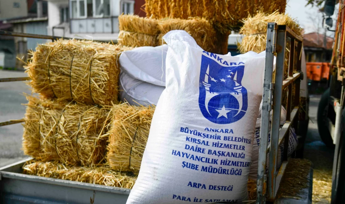 Ankara Büyükşehir Belediyesi, kırsal kalkınmayı desteklemek ve hayvan yetiştiricilerinin üretim