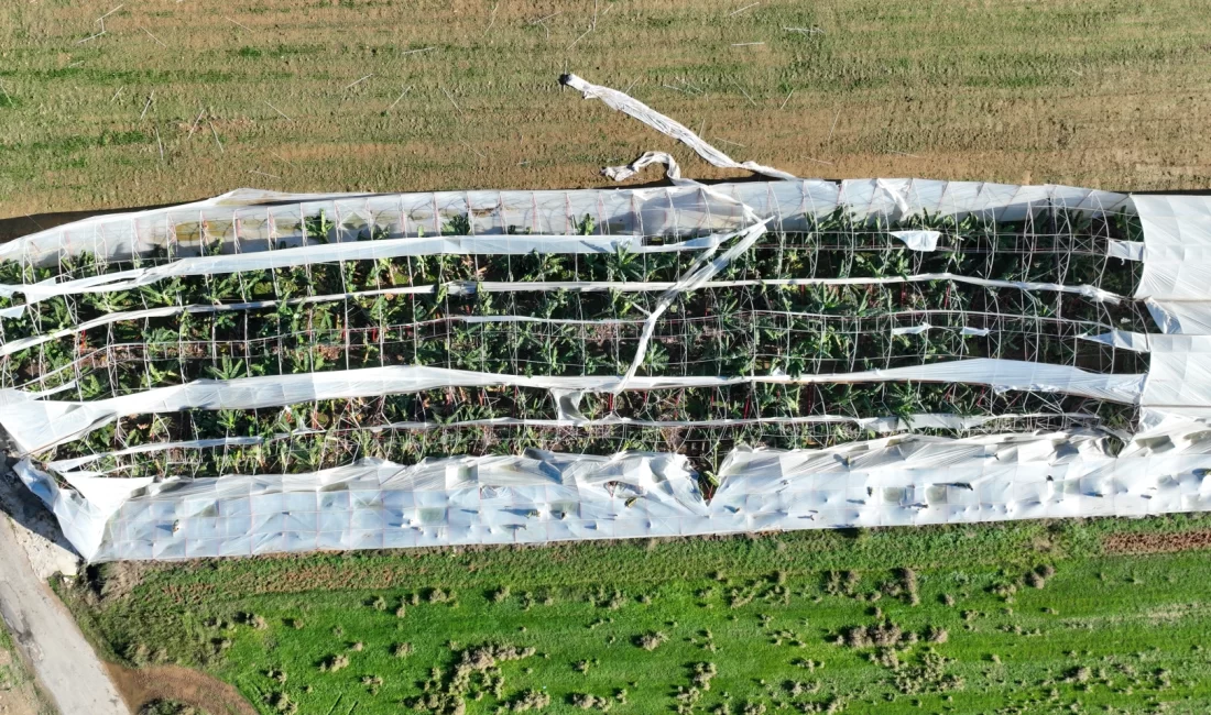 Antalya Büyükşehir Belediyesi, Manavgat’ta 29 Kasım akşamı meydana gelen hortumun