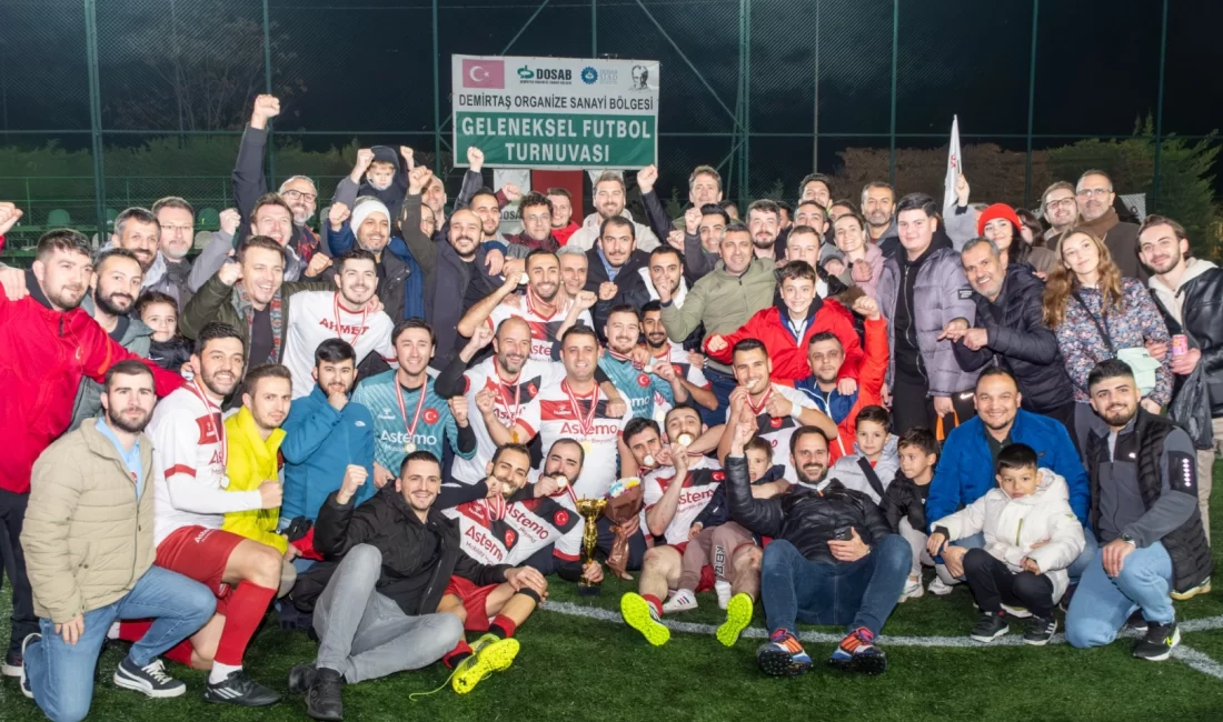 Demirtaş Organize Sanayi Bölgesi (DOSAB) ve Demirtaş Organize Sanayi Bölgesi