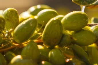 İzmir Büyükşehir Belediyesi, Dünya Kooperatifçilik Günü öncesinde “Kooperatifler Daha İyi