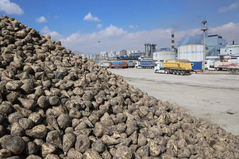 PANKOBİRLİK Genel Başkanı ve Konya Pancar Ekicileri Kooperatifi Yönetim Kurulu