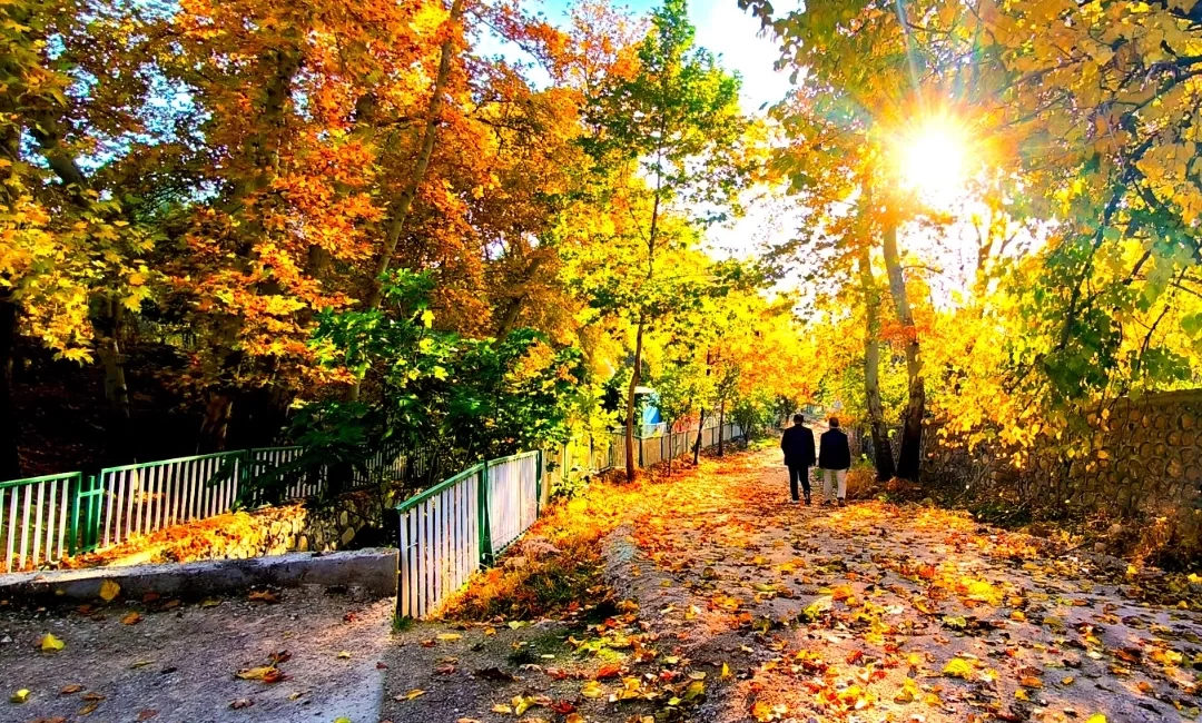 Mardin’in Yeşilli ilçesinde sonbahar, Yeşil Vadi’yi sarı, kızıl ve turuncunun