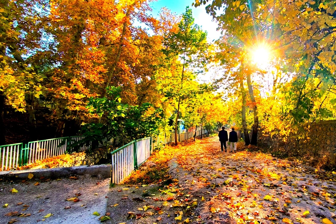 Mardin’in Yeşilli ilçesinde sonbahar, Yeşil Vadi’yi sarı, kızıl ve turuncunun