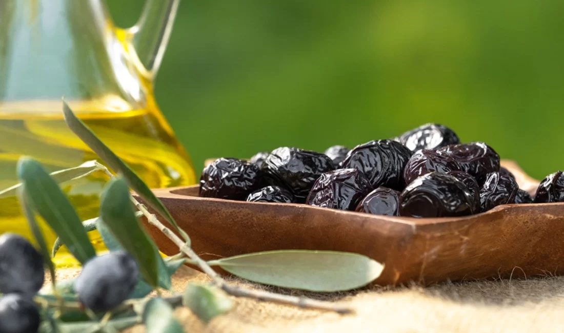 Zeytin alım kampanyasına yönelik ürün alımlarına Ekim ayında başlayan Marmarabirlik,