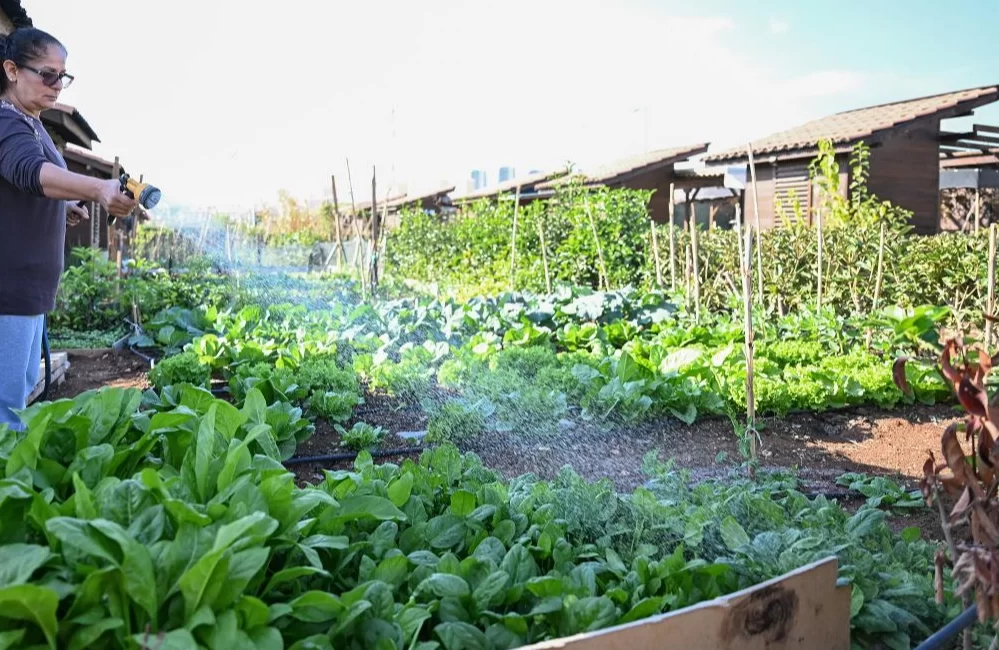 Mersin Büyükşehir Belediyesi’nin Toroslar ilçesinde kurduğu Hobi Parkı’nda kış hazırlıkları