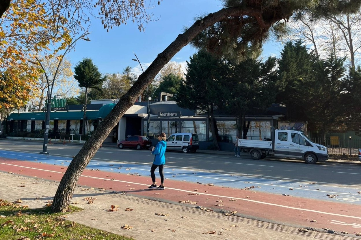 Ordu Büyükşehir Belediyesi rüzgar, yağmur ve geçmiş yıllardaki kar yağışları