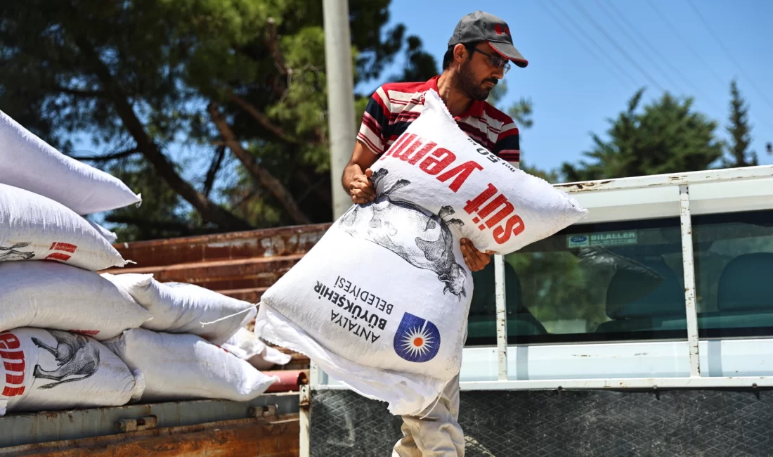 Antalya Büyükşehir Belediyesi, yerelden kalkınma vizyonu ile 2025 yılında hayvancılığa