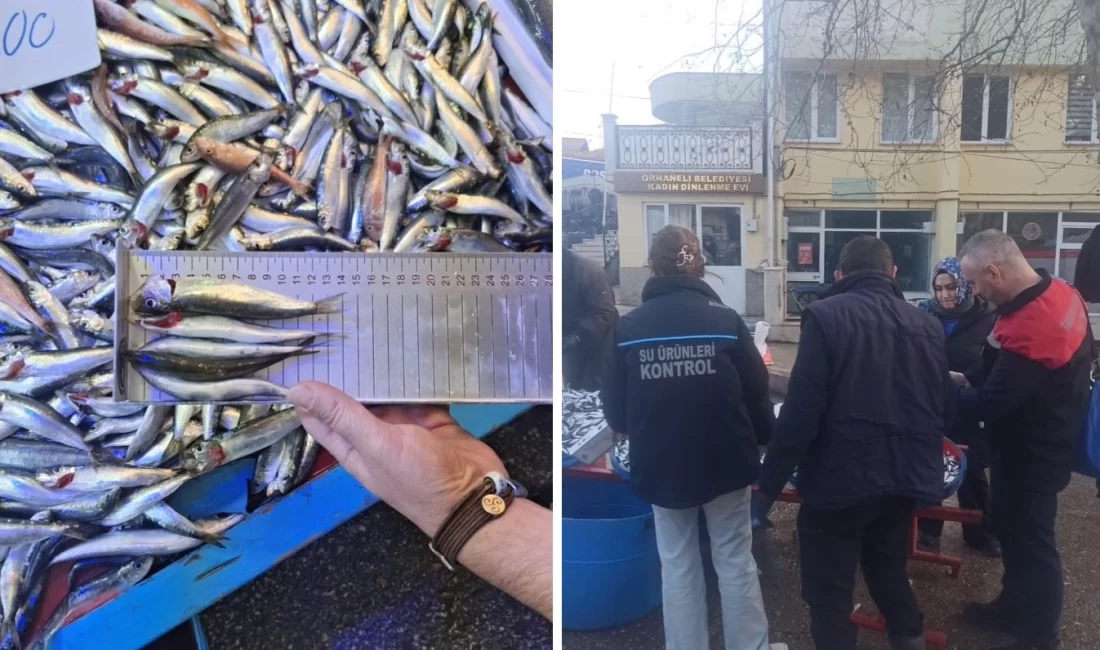 Bursa İl Tarım ve Orman Müdürlüğü ekipleri, Orhaneli ilçesinde gerçekleştirdiği