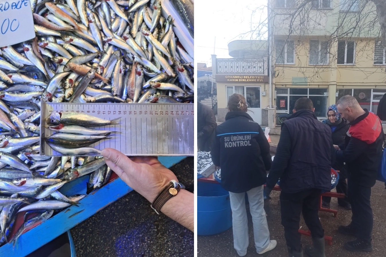 Bursa İl Tarım ve Orman Müdürlüğü ekipleri, Orhaneli ilçesinde gerçekleştirdiği