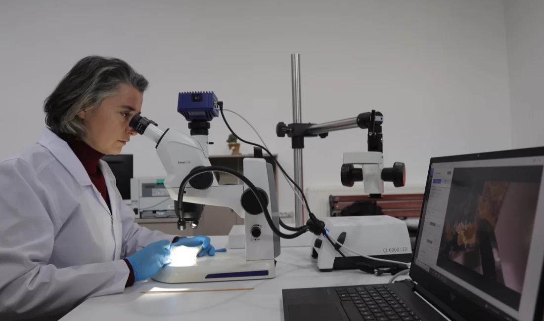 Kayseri Büyükşehir Belediyesi, tarihi ve kültürel mirası koruma ve yaşatma