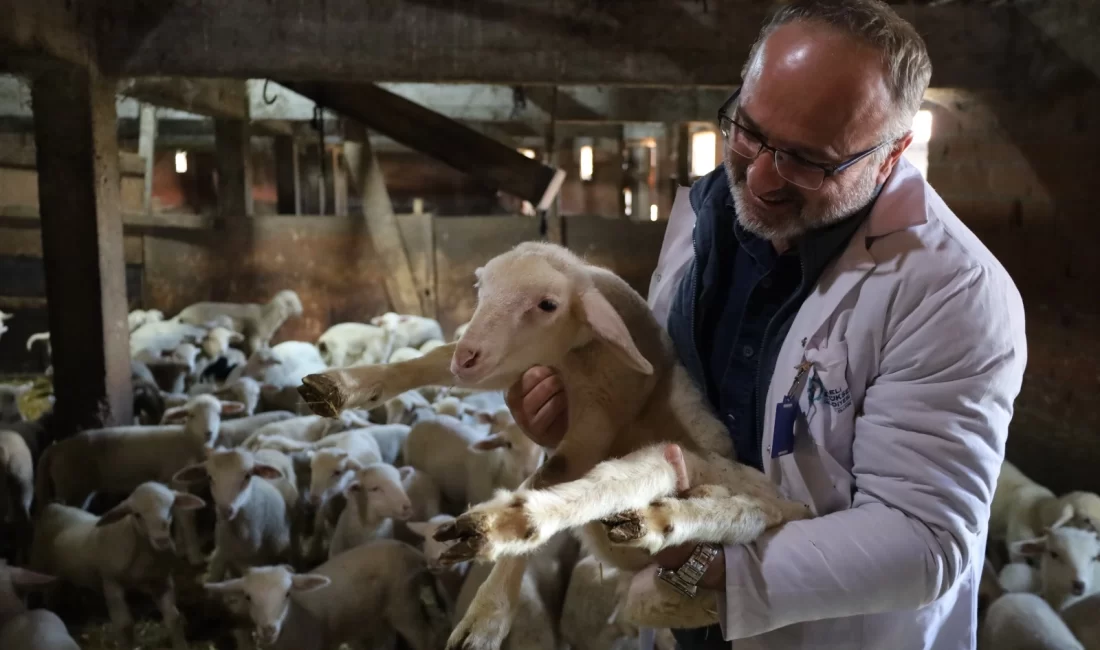 Kocaeli Büyükşehir Belediyesi, tarım ve hayvancılık üreticilerine 2025 yılında toplam