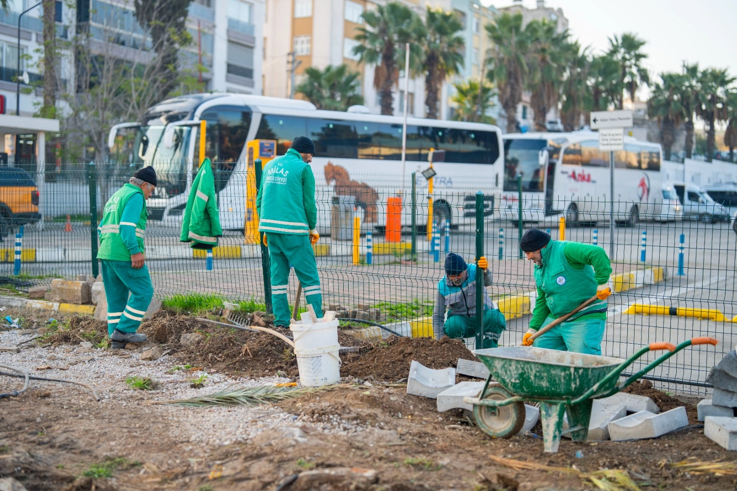 Muğla’da Milas Belediyesi, ilçenin dört bir yanında başlattığı peyzaj ve