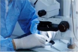 Spectrumedics Medical, Sonico-CX IVL Sisteminin AB Tıbbi Cihaz Yönetmeliği kapsamında