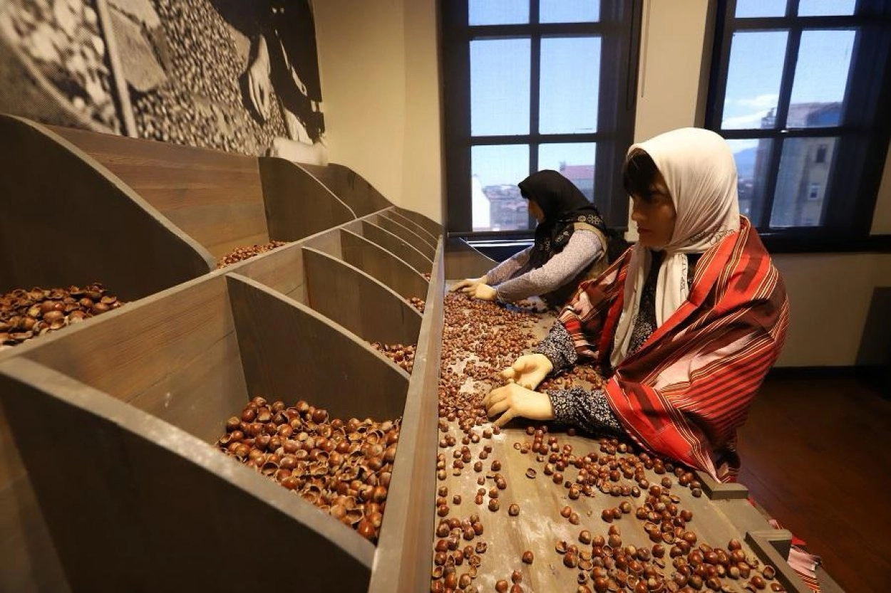 Ordu Büyükşehir Belediye Başkanı Dr. Mehmet Hilmi Güler’in kente kazandırdığı