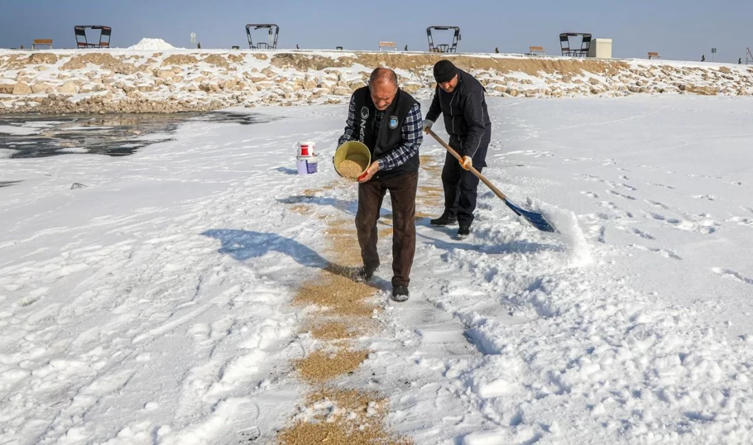 Van Büyükşehir Belediyesi, kış mevsiminin etkisini artırdığı soğuk günlerde yiyecek