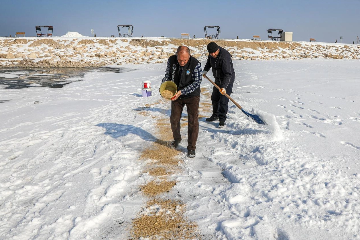 Van Büyükşehir Belediyesi, kış mevsiminin etkisini artırdığı soğuk günlerde yiyecek