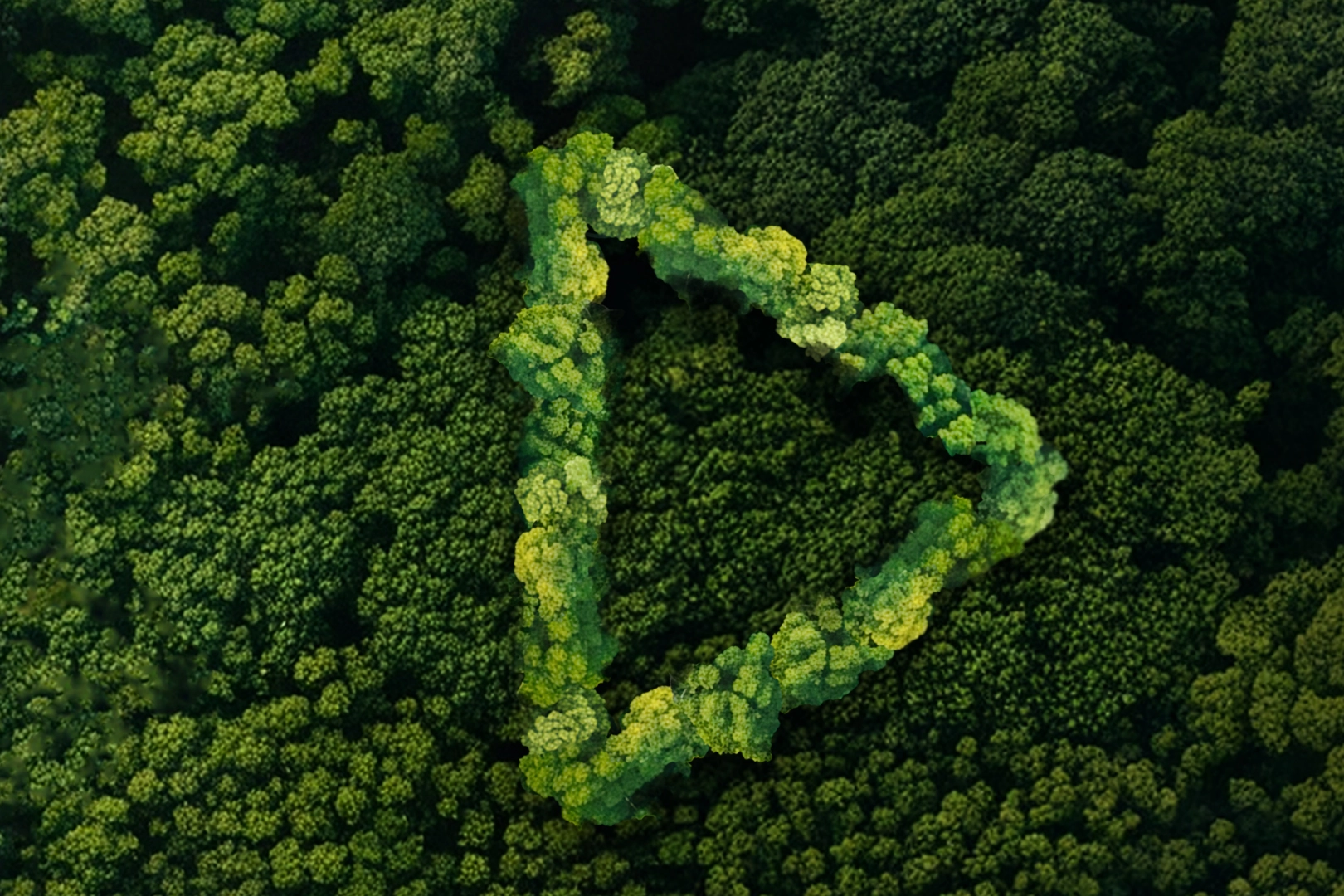 Tarım ve Orman Bakanlığı Orman Genel Müdürlüğü (OGM) koordinasyonunda bu